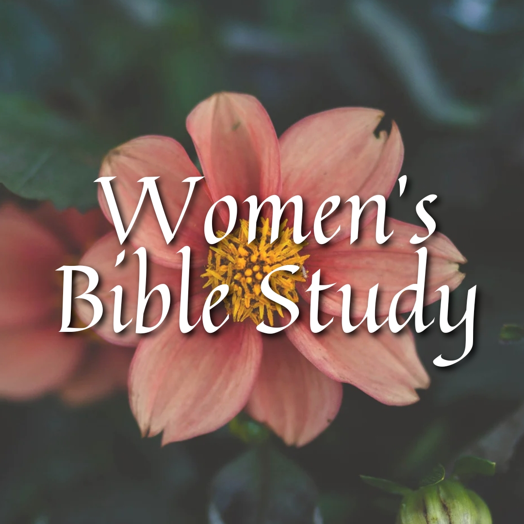 Women's Bible Study @ Via Zoom